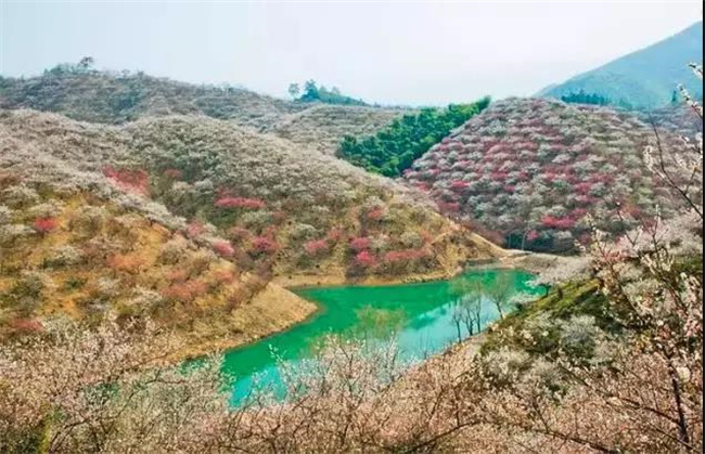 _VBp䓄e