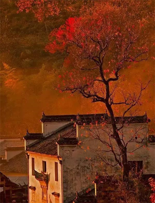 _VBp䓄e