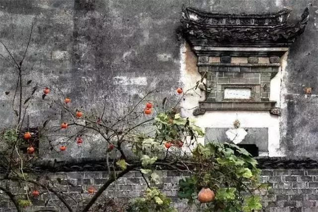 _VBp䓄e